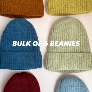 Winter Lined Beanies Bulk of 6 Pretty Colors